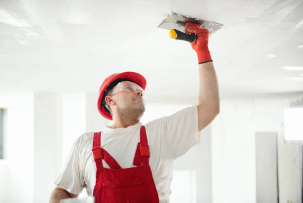 Best Drywall Texturing  in Edgewood, KY