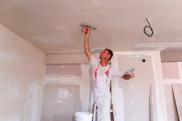 Best Drywall Patching  in Edgewood, KY