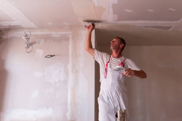 Best Wallpaper Removal and Painting  in Edgewood, KY